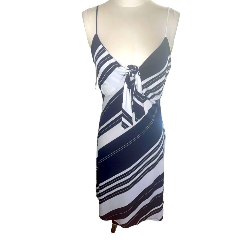 Perseption dress